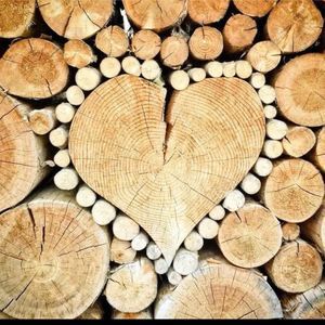 Meet your Posher, Ginger